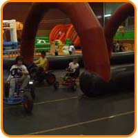 KARTS ECOLOGICOS